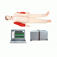 康谊牌KAY/CPR780高级心肺复苏模拟人（计算机控制）
