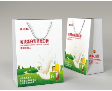 枝江企业广告礼品袋印刷手提纸袋服装鞋子包装手提袋定做