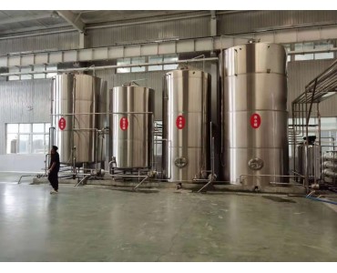 大型精酿啤酒设备年产10吨的啤酒设备 啤酒设备制作厂家
