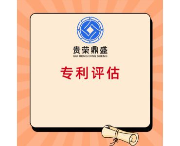 四川省泸州市无形资产评估专利实缴评估技术评估软著商标评估